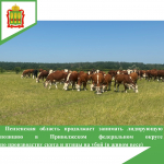 Фото: https://mcx.pnzreg.ru/