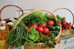 Питание для ума: главный терапевт Пензенской области назвала ТОП-5 продуктов, которые стоит добавить в рацион для улучшения когнитивных функций