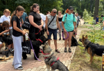 На Западной Поляне открыли площадку для выгула собак