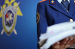 Глава СКР затребовал доклад по уголовному делу о ненадлежащем состоянии дороги в селе Колтовское Колышлейского района
