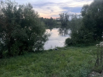 Проверка организована по факту гибели мужчины в водоеме в Городищенском районе