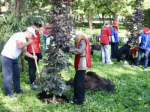 Олег Мельниченко принял участие в высадке деревьев в Лермонтовском сквере