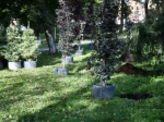 Олег Мельниченко принял участие в высадке деревьев в Лермонтовском сквере