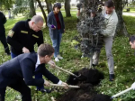 Олег Мельниченко принял участие в высадке деревьев в Лермонтовском сквере