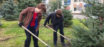 Программа «Молодёжная зелёная дружина»