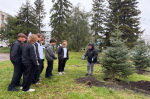 Программа «Молодёжная зелёная дружина»