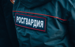 Дезориентированная девушка устроила дебош в пензенском ТЦ