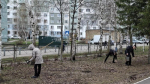 В Пензе 10 октября пройдет общегородской субботник