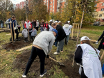 В Пензе активисты Молодежной организации ЛДПР приняли участие в общегородском субботнике