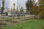 В Пензе активисты Молодежной организации ЛДПР приняли участие в общегородском субботнике