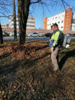 Как благоустраивают улицы Пензы 19 октября: фотоотчет