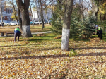 Как благоустраивают улицы Пензы 19 октября: фотоотчет