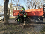 Фото: https://www.penza-gorod.ru